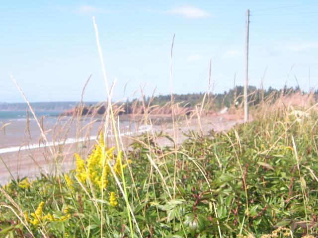 Moore'S Specialties Fundy Bay House Rental Gardner Creek Exterior photo